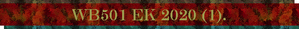 WB501 EK 2020 (1).
