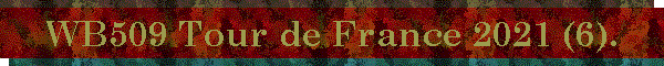 WB509 Tour de France 2021 (6).
