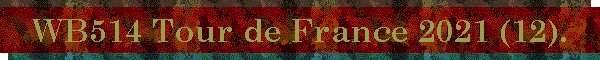 WB514 Tour de France 2021 (12).