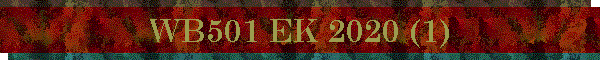 WB501 EK 2020 (1)