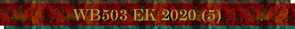 WB503 EK 2020 (5)