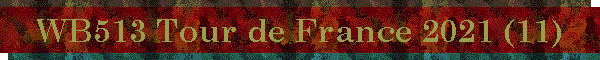 WB513 Tour de France 2021 (11)